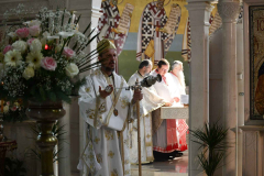 350817569_208658805382807_2369555147518416008_n